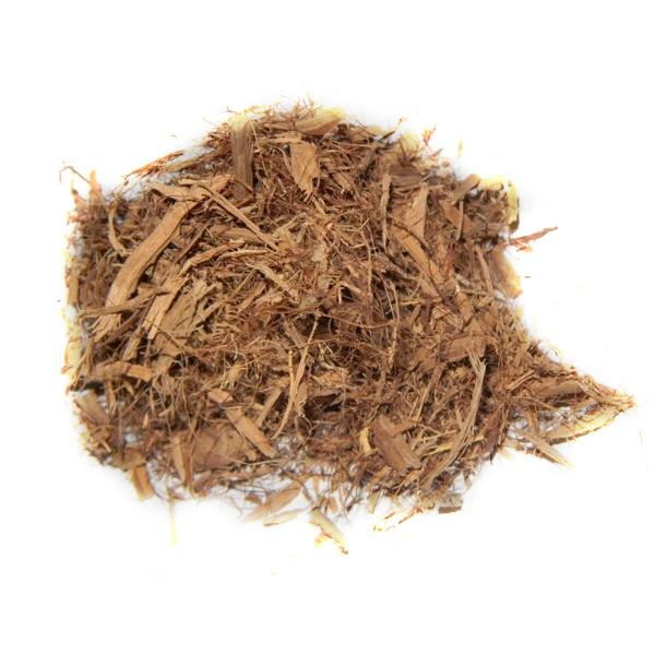 banisteriopsis_caapi_-_yellow-119-B (1)