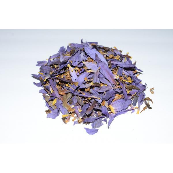 blue_lotus__goluboy_lotus_nymphaea_caerulea_sushenyie_tsvetyi-97-B