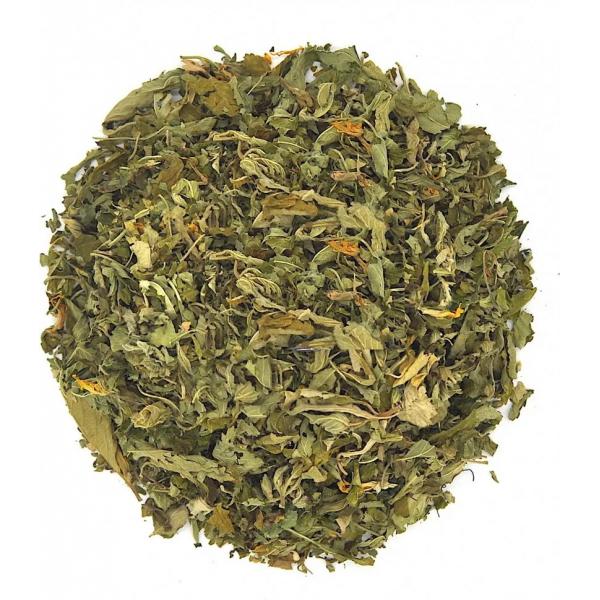 damiana_promo_list_molotyiy_turnera_sjataya_damiana_turnera_diffusa-199-B