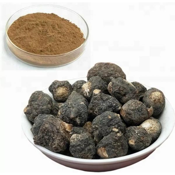 maka_peruanskaya_chernaya_koren_lepidium_mevenil_organic_raw_black_maca_root-229-B