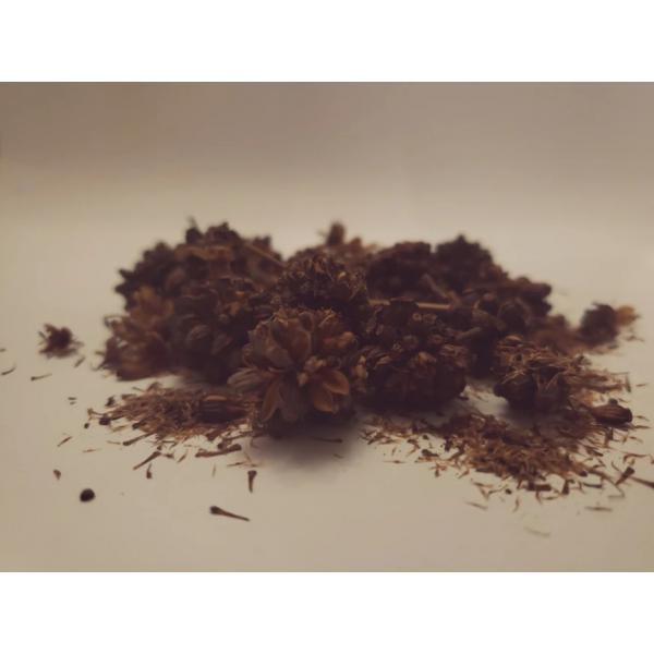 semena_kratom_kratom_ketum_mitragyna_speciosa-40-B