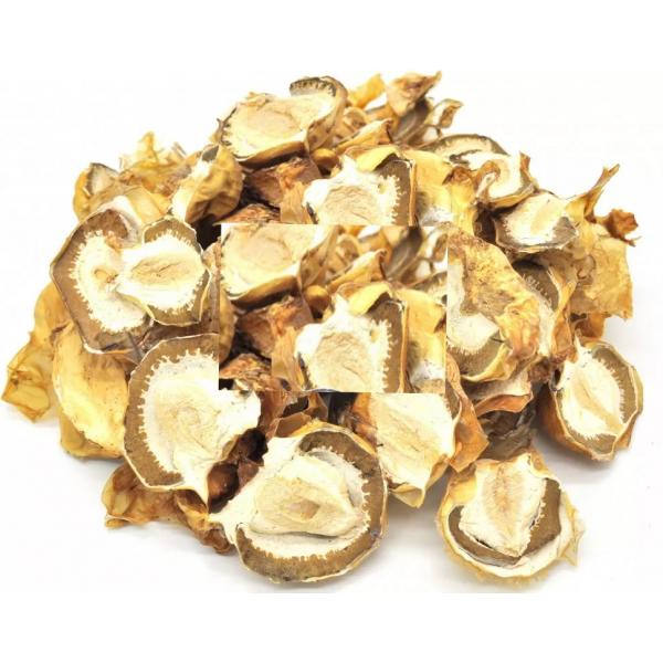 veselka_obyiknovennaya_phallus_impudicus_fallyus_neskromnyiy-198-B